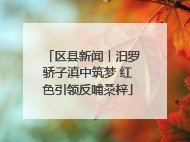 区县新闻丨汨罗骄子滇中筑梦 红色引领反哺桑梓