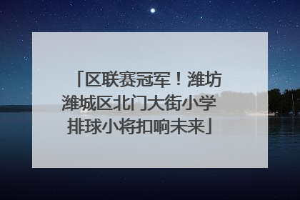区联赛冠军！潍坊潍城区北门大街小学排球小将扣响未来
