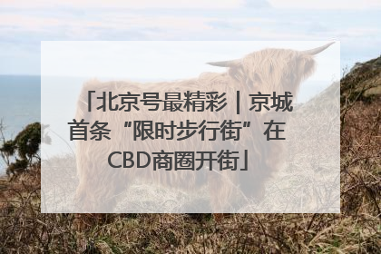 北京号最精彩｜京城首条“限时步行街”在CBD商圈开街
