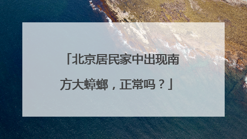 北京居民家中出现南方大蟑螂，正常吗？