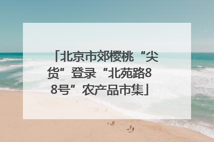 北京市郊樱桃“尖货”登录“北苑路88号”农产品市集