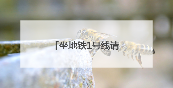 坐地铁1号线请注意！沈阳地铁发布最新公告！