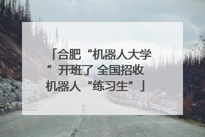 合肥“机器人大学”开班了 全国招收机器人“练习生”