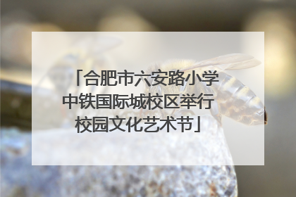 合肥市六安路小学中铁国际城校区举行校园文化艺术节
