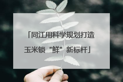 同江用科学规划打造玉米锁“鲜”新标杆
