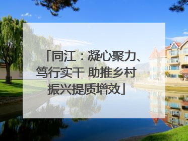 同江：凝心聚力、笃行实干 助推乡村振兴提质增效