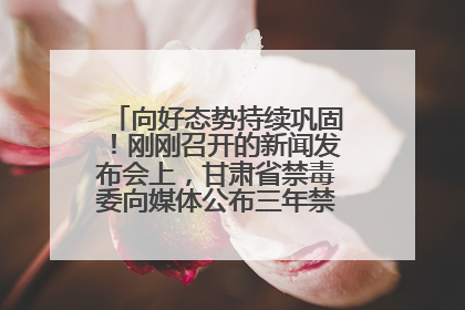向好态势持续巩固！刚刚召开的新闻发布会上，甘肃省禁毒委向媒体公布三年禁毒工作“成绩单”