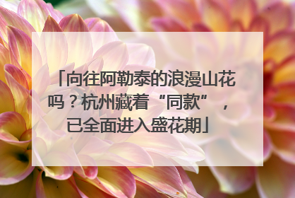 向往阿勒泰的浪漫山花吗？杭州藏着“同款”，已全面进入盛花期