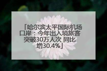 哈尔滨太平国际机场口岸：今年出入境旅客突破30万人次 同比增30.4%