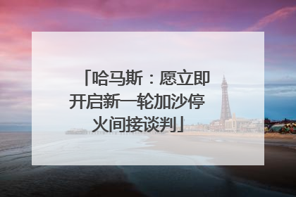 哈马斯：愿立即开启新一轮加沙停火间接谈判