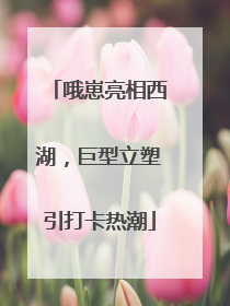 哦崽亮相西湖，巨型立塑引打卡热潮