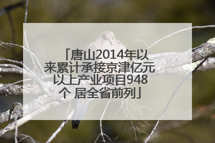 唐山2014年以来累计承接京津亿元以上产业项目948个 居全省前列