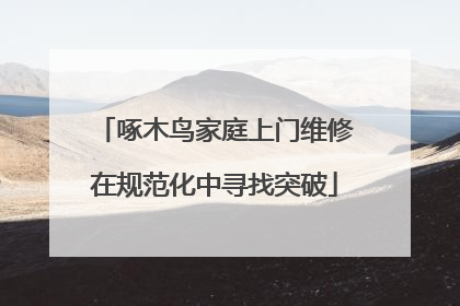 啄木鸟家庭上门维修在规范化中寻找突破