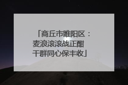 商丘市睢阳区：麦浪滚滚战正酣 干群同心保丰收