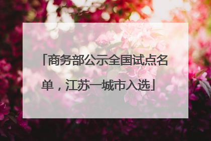 商务部公示全国试点名单，江苏一城市入选