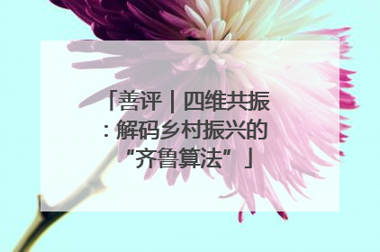 善评｜四维共振：解码乡村振兴的“齐鲁算法”