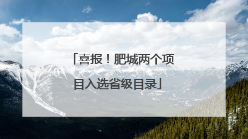 喜报！肥城两个项目入选省级目录