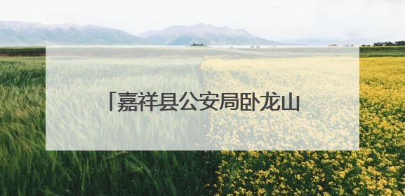 嘉祥县公安局卧龙山派出所开展打击整治枪爆违法犯罪宣传活动