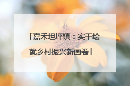嘉禾坦坪镇：实干绘就乡村振兴新画卷