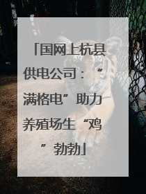 国网上杭县供电公司：“满格电”助力养殖场生“鸡”勃勃