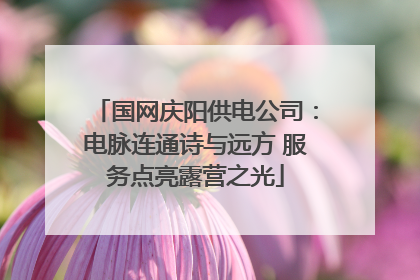 国网庆阳供电公司：电脉连通诗与远方 服务点亮露营之光