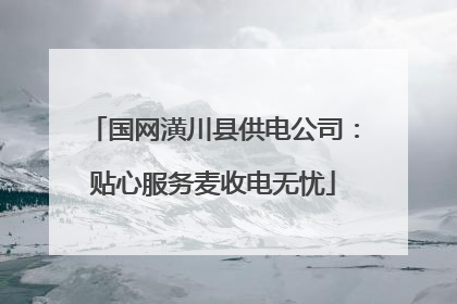国网潢川县供电公司：贴心服务麦收电无忧