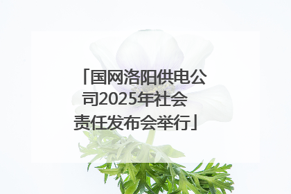 国网洛阳供电公司2025年社会责任发布会举行