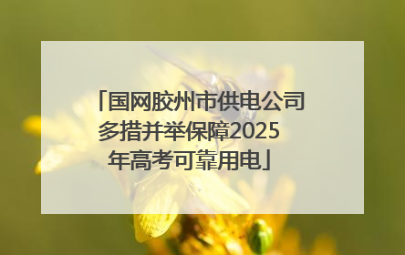 国网胶州市供电公司多措并举保障2025年高考可靠用电