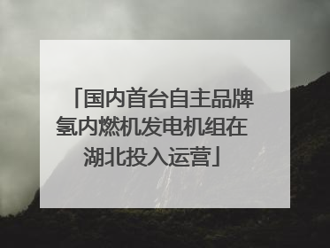 国内首台自主品牌氢内燃机发电机组在湖北投入运营