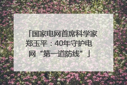 国家电网首席科学家郑玉平：40年守护电网“第一道防线”