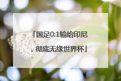 国足0:1输给印尼，彻底无缘世界杯