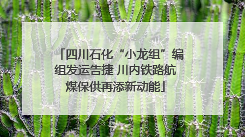 四川石化“小龙组”编组发运告捷 川内铁路航煤保供再添新动能