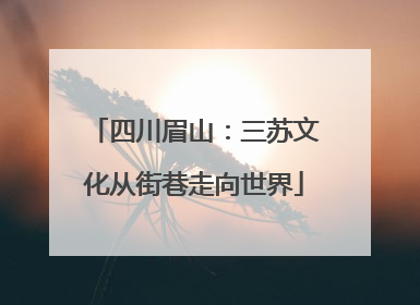 四川眉山：三苏文化从街巷走向世界