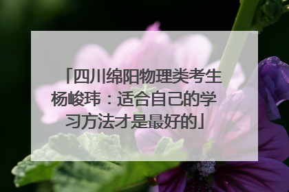 四川绵阳物理类考生杨峻玮：适合自己的学习方法才是最好的
