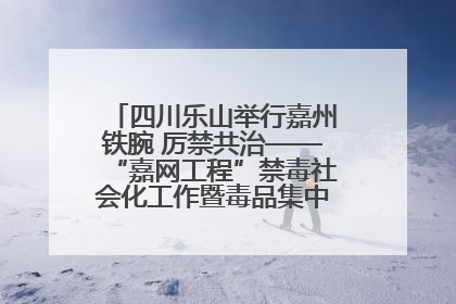 四川乐山举行嘉州铁腕 厉禁共治——“嘉网工程”禁毒社会化工作暨毒品集中销毁启动仪式