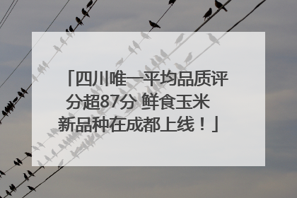 四川唯一平均品质评分超87分 鲜食玉米新品种在成都上线！