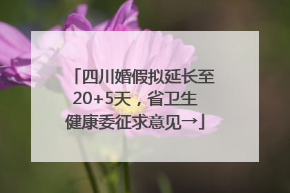 四川婚假拟延长至20+5天，省卫生健康委征求意见→