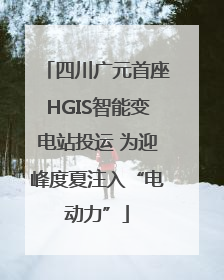 四川广元首座HGIS智能变电站投运 为迎峰度夏注入“电动力”
