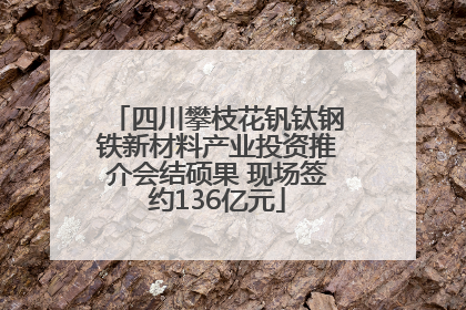 四川攀枝花钒钛钢铁新材料产业投资推介会结硕果 现场签约136亿元