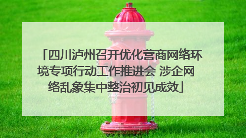 四川泸州召开优化营商网络环境专项行动工作推进会 涉企网络乱象集中整治初见成效