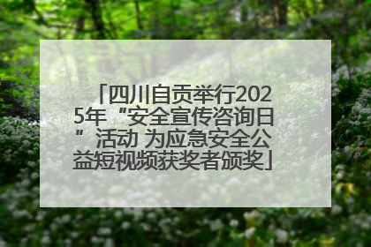 四川自贡举行2025年“安全宣传咨询日”活动 为应急安全公益短视频获奖者颁奖