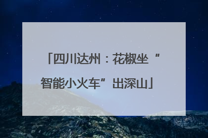 四川达州：花椒坐“智能小火车”出深山