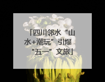 四川邻水“山水+潮玩”引爆“五一”文旅