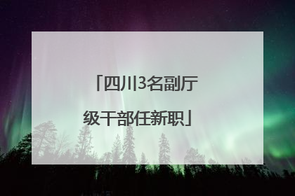 四川3名副厅级干部任新职
