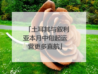 土耳其与叙利亚本月中旬起运营更多直航