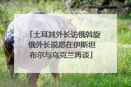 土耳其外长访俄斡旋 俄外长说愿在伊斯坦布尔与乌克兰再谈