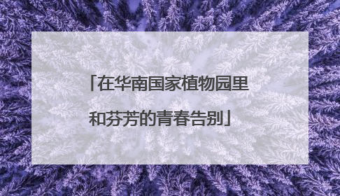 在华南国家植物园里和芬芳的青春告别