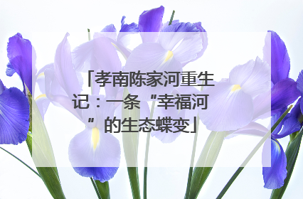 孝南陈家河重生记：一条“幸福河”的生态蝶变