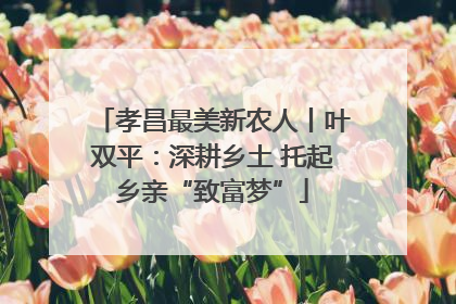 孝昌最美新农人丨叶双平：深耕乡土 托起乡亲“致富梦”