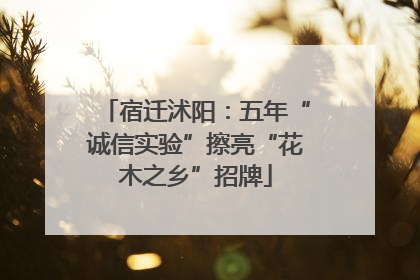 宿迁沭阳：五年“诚信实验”擦亮“花木之乡”招牌